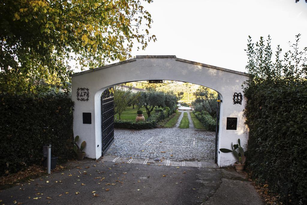 Il Pettirosso B&B Grottaferrata Exterior photo