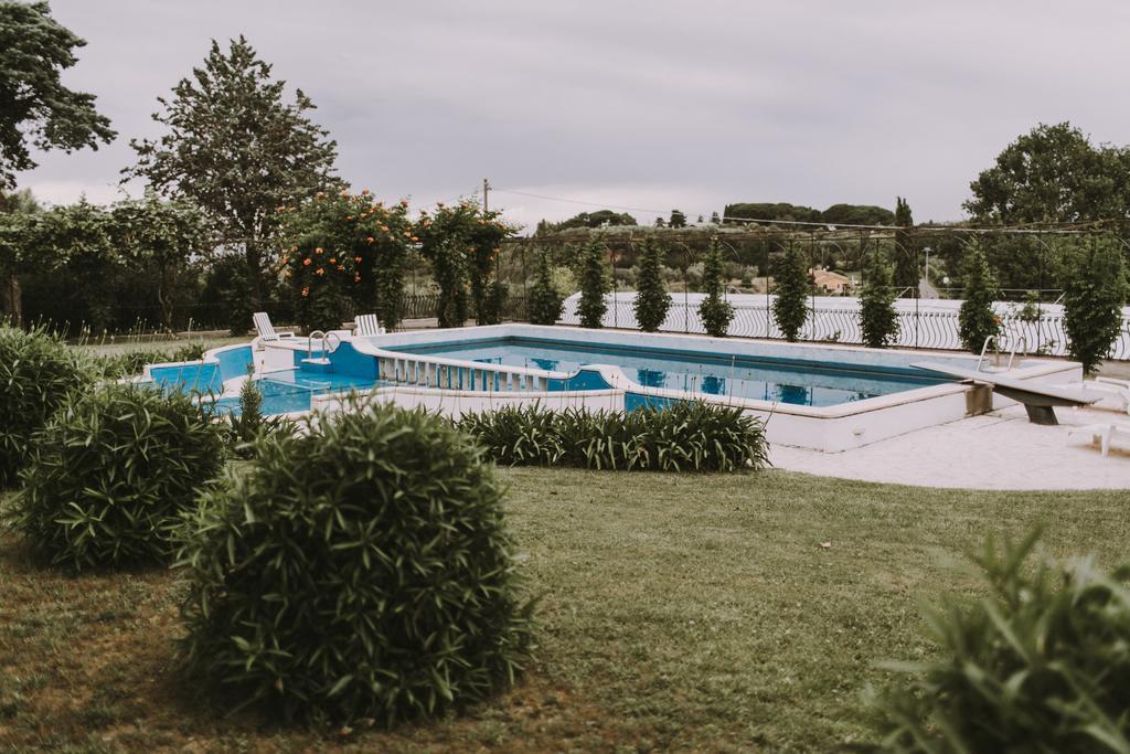 Il Pettirosso B&B Grottaferrata Exterior photo